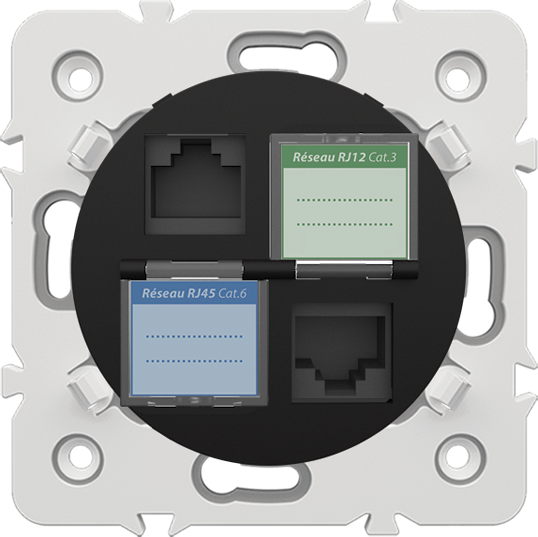 PRISE MIXE RJ45 CAT.6 PRISE RJ12 CAT.3 + OBTURATEURS